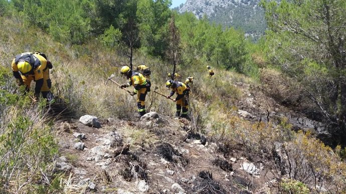 Técnicos de medio ambiente actúan en la extinción de un incendio forestal en Formentor.