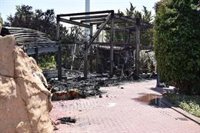 El Oceanogrfic abre esta noche el Restaurante Submarino y mañana todas sus instalaciones "con total normalidad"