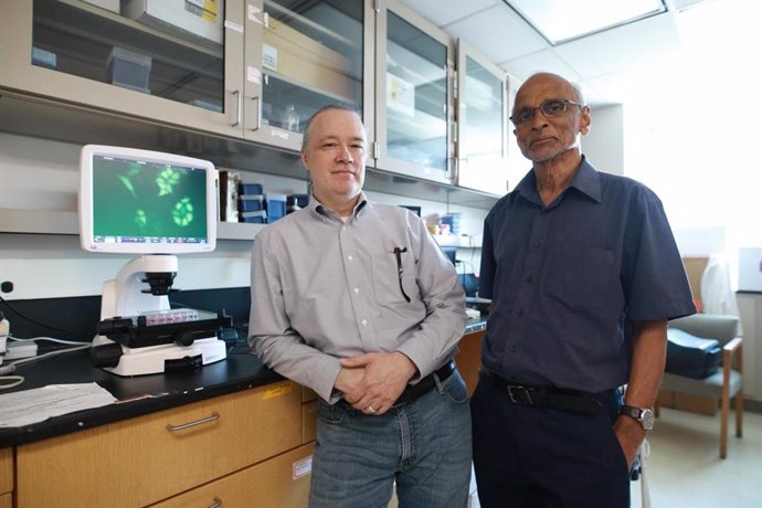 El Dr. William Taylor, a la izquierda, y el Dr. LM Viranga Tillekeratne están investigando una pequeña molécula que bloquea y mata a las células madre del cáncer.