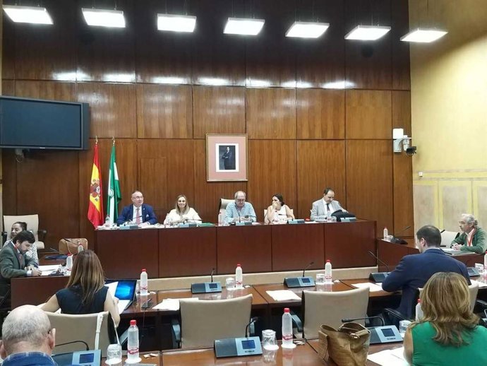 La consejera de Fomento, Marifrán Carazon, en  comisión parlamentaria.