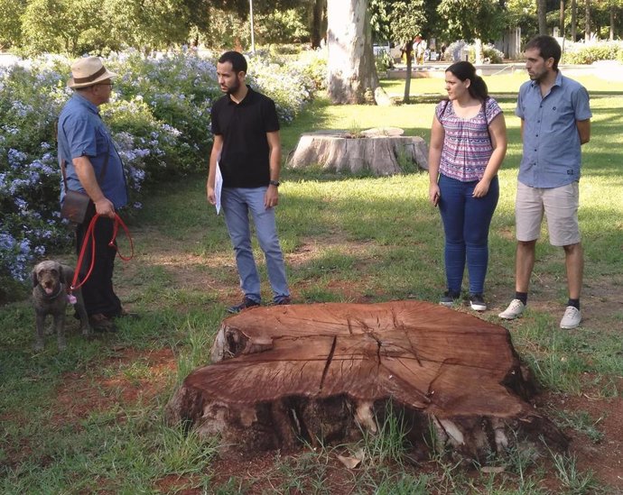 [Sevilla] Audio, Np Y Fotos Iu Lamenta La Pérdida Irreparable De Árboles En El