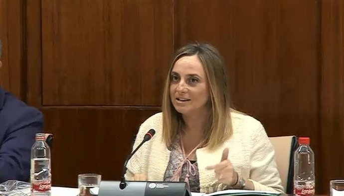 La consejera de Fomento, Infraestructuras y Ordenación del Territorio, Marifrán Carazo, en comisión parlamentaria.