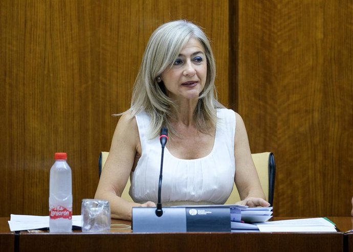 Patricia del Pozo en la Comisión de Cultura del Parlamento