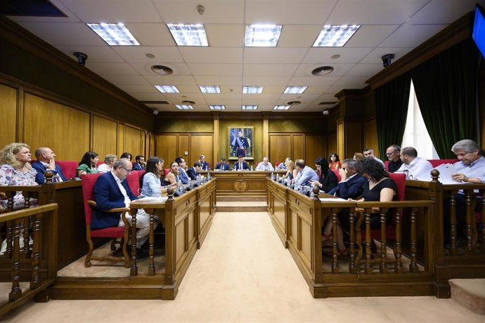 Pleno de la Diputación de Almería