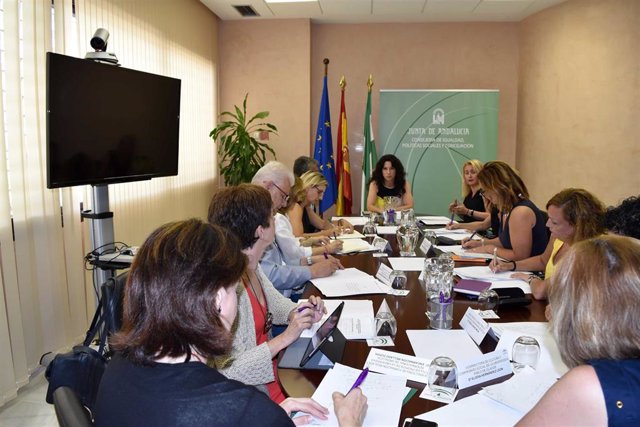 Imagen de la reunión de la consejera de Igualdad, Rocío Ruiz, con las universidades sobre el reparto de fondos del Pacto de Estado contra la violencia de género.