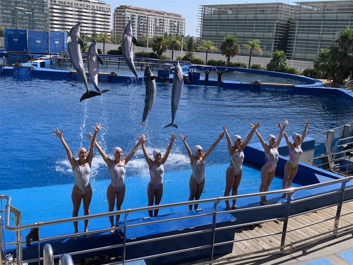 El espectáculo 'Las Noches del Oceanogrfic' se inaugura este viernes y se extenderá hasta el 31 de agosto