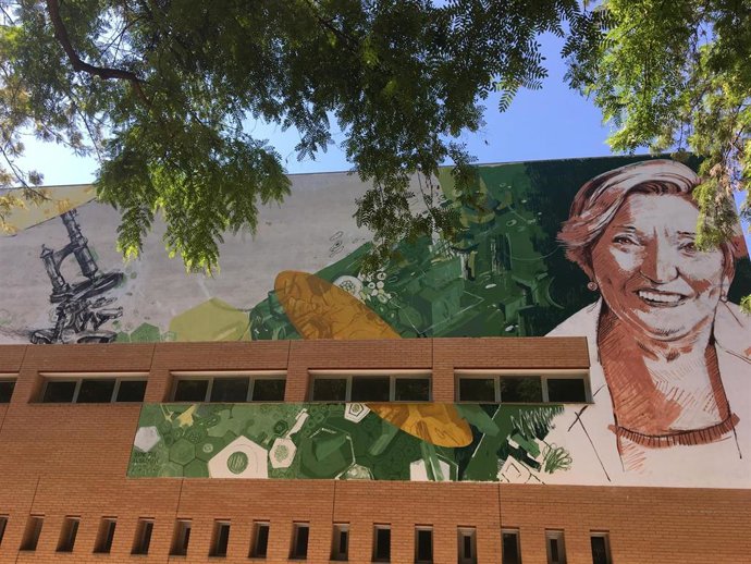 Mural de la oncóloga valenciana Anna Lluch.