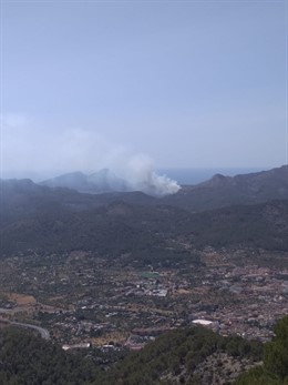 Imagen del incendio forestal declarado en Cala en Basset (Andratx).