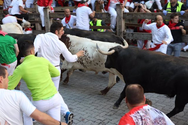 Decenas de personas corren en el cuarto encierro de las fiestas de San Fermín con toros de la ganadería Jandilla.