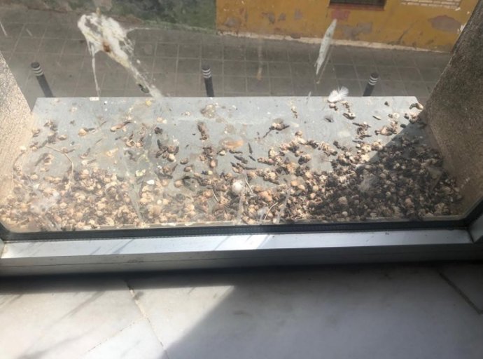 Ventana del Juzgado de Instrucción y Primnera Instancia número 1 de Sanlúcar la Mayor