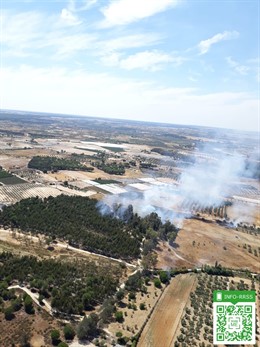 Incendio forestal declarado en Almonte.