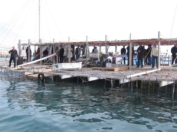 Batea para la cría de clóchinas en el puerto de Valencia