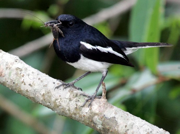 El Gobierno de C-LM saca a información pública el borrador de una Orden para hom