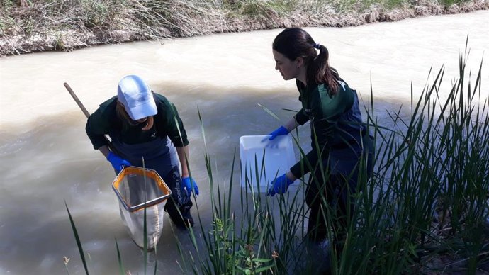 La CHE contrata los servicios para la evaluación ecológica del río Guadalope, en