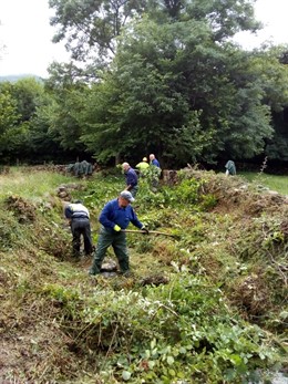 Limpieza de los cauces de varios arroyos en Renedo de Cabuérniga