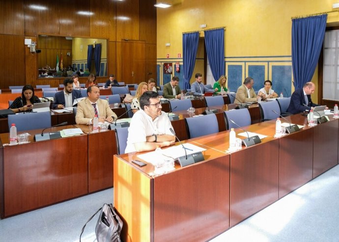 Diputados en la comisión de Economía, Conocimiento, Empresas y Universidad del Parlamento andaluz.