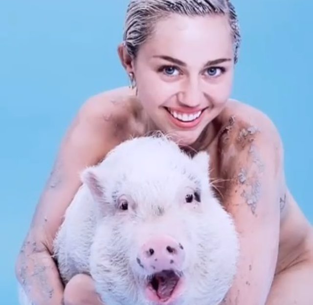 Miley Cyrus con Pig Pig