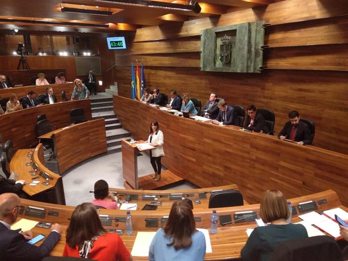 La portavoz de Ciudadanos en la Junta General, Laura Pérez Macho, en el debate de elección del Presidente.