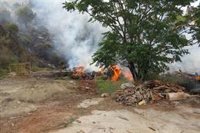 Dos investigados por un incendio forestal en Benalmádena (Málaga) que obligó a cortar la A-7