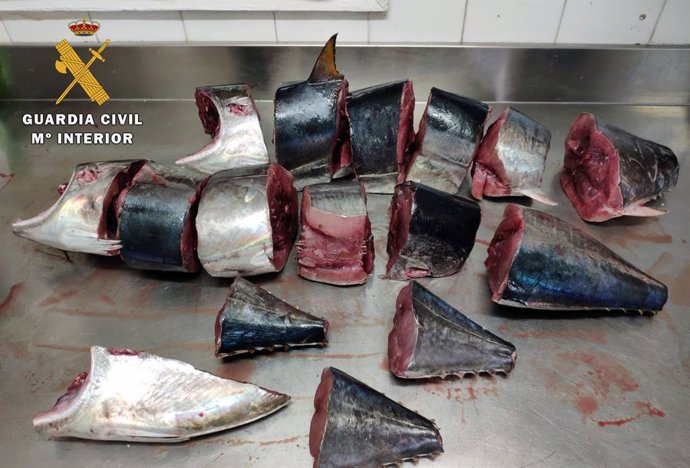 Piezas de atún pescadas ilegalmente decomisadas