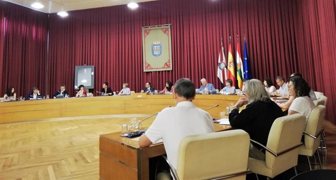 Imagen del desarrollo del pleno extraordinario del Ayuntamiento de Logroño de este 12 de  julio