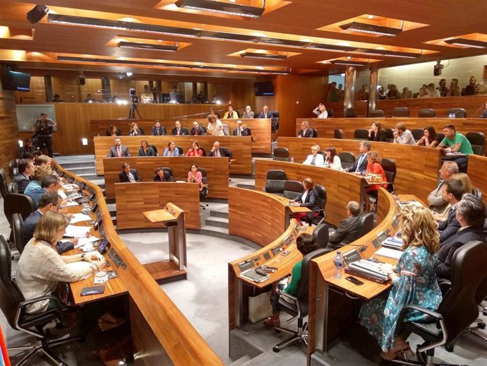 Pleno de elección del presidente.