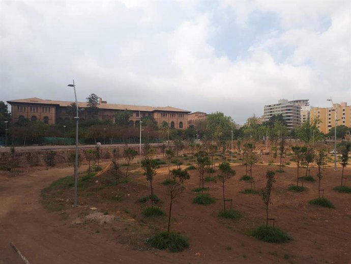 Imatge de recurs del candrom i bosc urb de Palma.