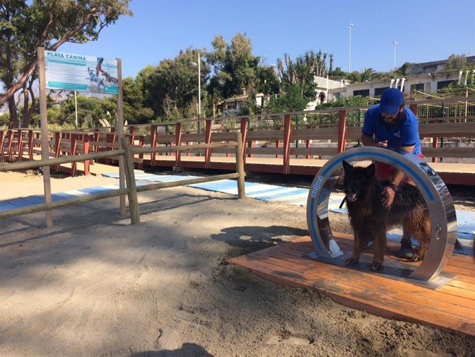 Equipamiento en playas caninas, duchas para perros 