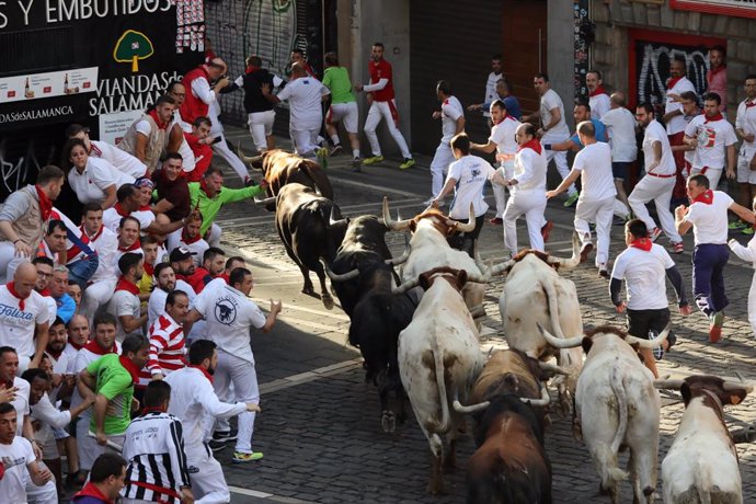 San Fermín.-Los toros debutantes de La Palmosilla se adelantan a los cabestros e
