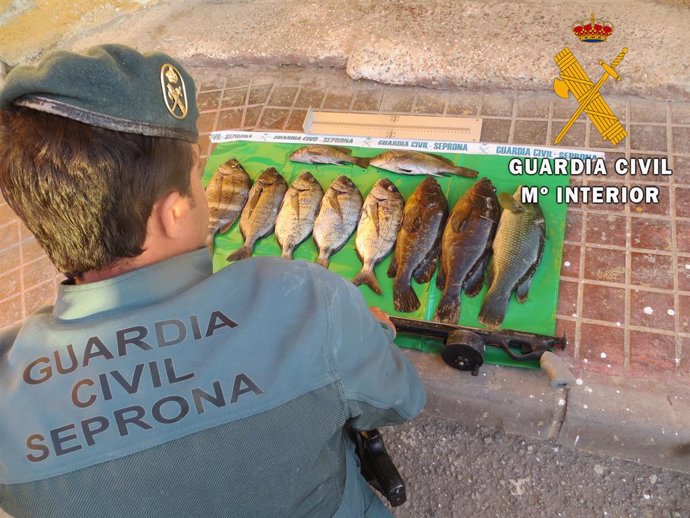 Almería.- Sucesos.- Denunciado un submarinista acusado de pesca ilegal en el Par