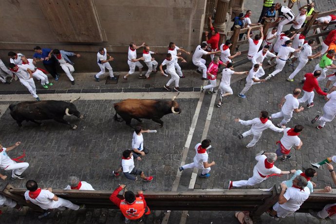 Cientos de personas corres en el séptimo encierro de las fiestas de San Fermín con los toros de La Palmosilla celebrado en Pamplona (Navarra).
