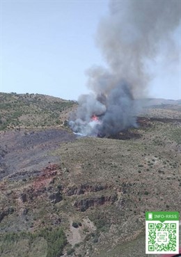 Incendio en el paraje La Zarda