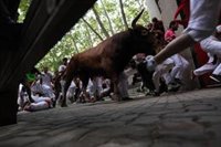 Un joven de Alcobendas y dos australianos, los corneados en el último encierro