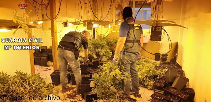 Almería.- Sucesos.- Detenidas tres personas en Berja por cultivar marihuana en s