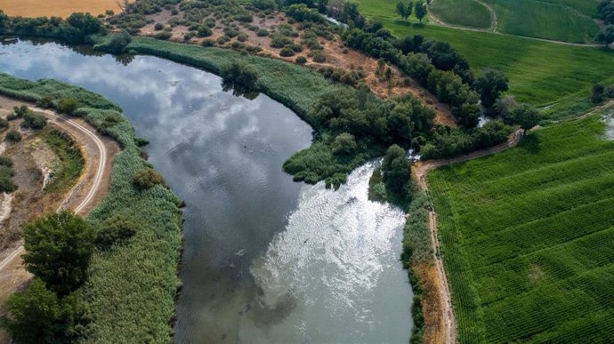 Imágenes grabadas con un dron muestran el mal estado del río Jarama en su desembocadura en el río Tajo