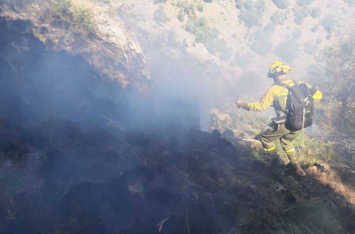 Las Brif intervienen en la extinción del incendio de Sotillo de la Adrada (Ávila).