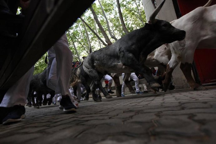 Cientos de personas corren en el último encierro de los Sanfermines 2019 en Pamplona (Navarra).