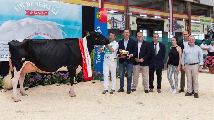 El nuevo consejero de Ganadería subraya la mejora genética del ganado frisón en 