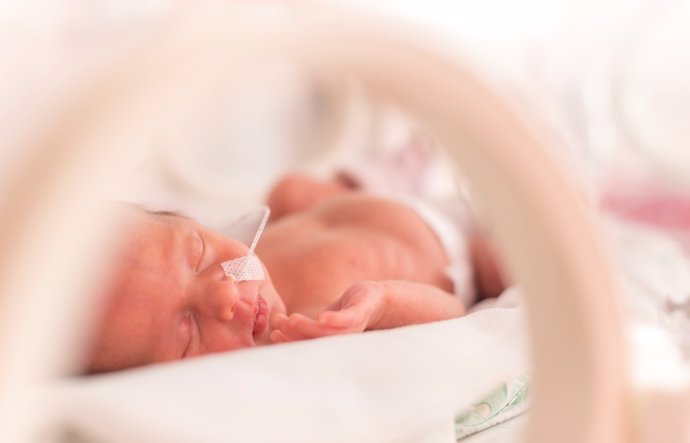 Premature newborn  baby girl  bebé prematuro