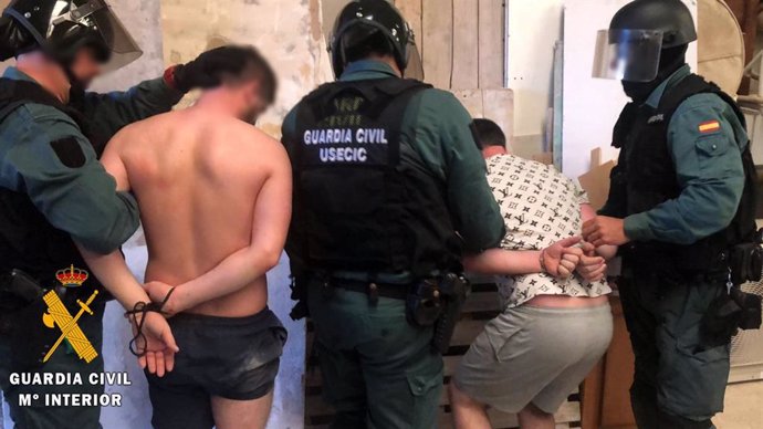 Detenidos tras localizar un cultivo "domotizado" de 900 plantas de marihuana en una nave de Adra (Almería)