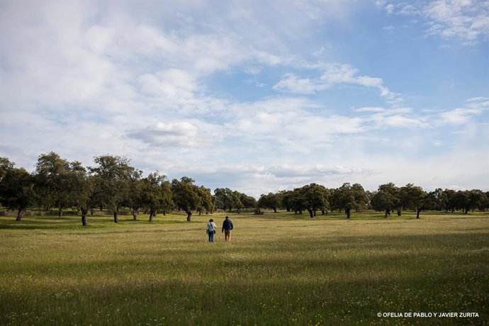 SEO/BirdLife y WWF reclaman a España que defienda la agricultura sostenible en e