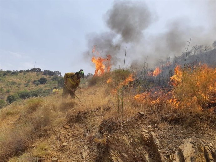 Un bombero del Plan Infoca trabaja en la extinción de un incendio forestal declarado en el paraje Arroyo Jaboneros de Málaga capital.