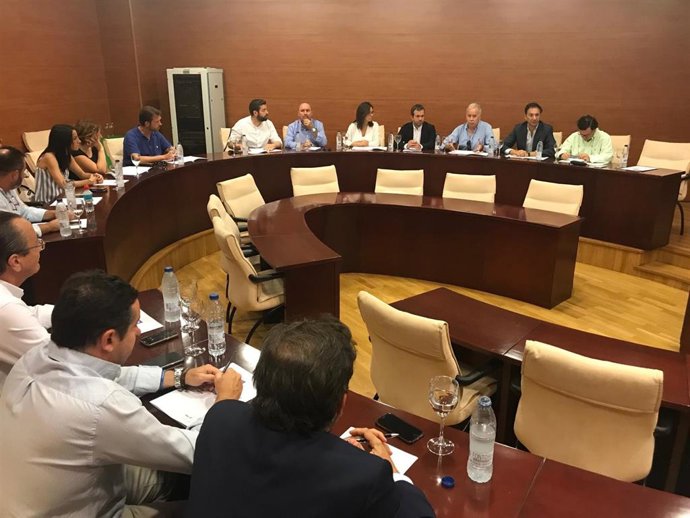 Comparecencia del alcalde de Jaén ante el pleno del CES local