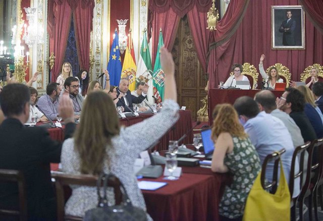 Pleno de la Diputación