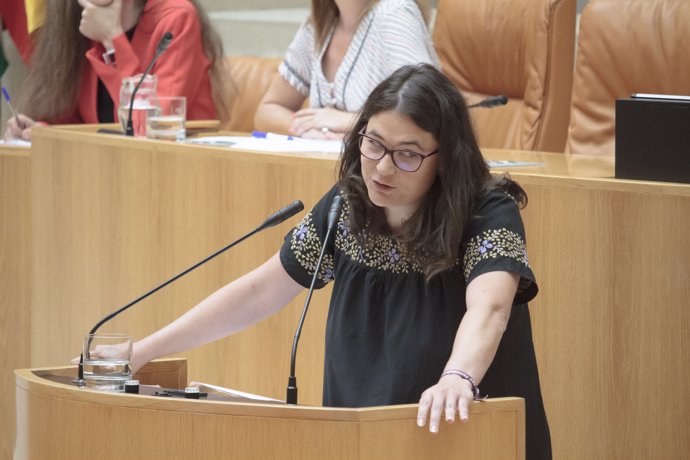 La diputada regional de Podemos Raquel Romero interviene durante la segunda sesión del pleno de investidura para la elección de la presidenta del Gobierno de La Rioja