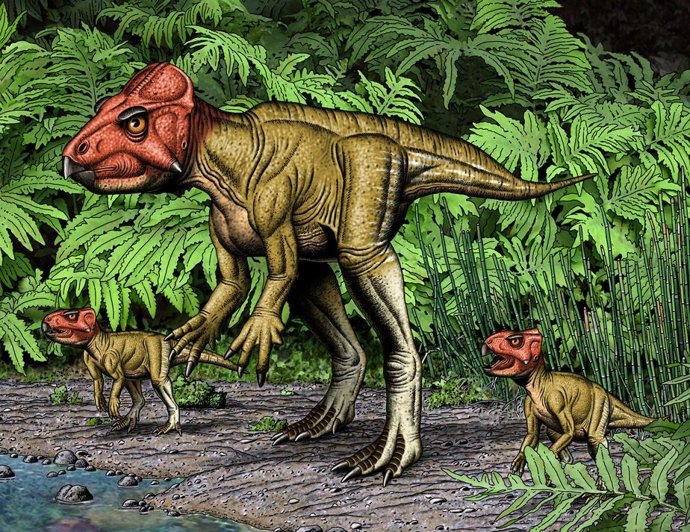 Un dinosaurio cornudo pariente de Triceratops andaba sobre dos patas