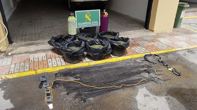 Granada.- Sucesos.- Ante el juez tres investigados por la captura ilegal de 206 