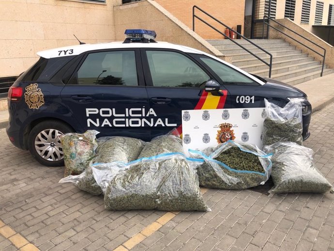 Carga de marihuana hidropónica interceptada por la Policía Nacional.