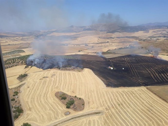 Imagen del incendio agrícola declarado en Cañete La Real (Málaga)