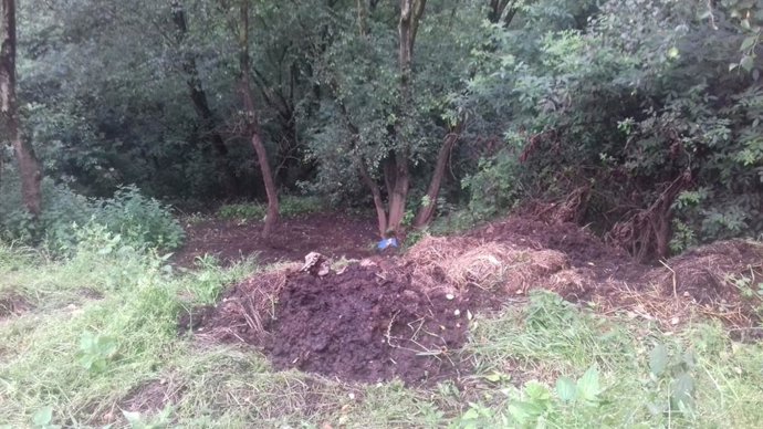 Imagen de los vertidos.